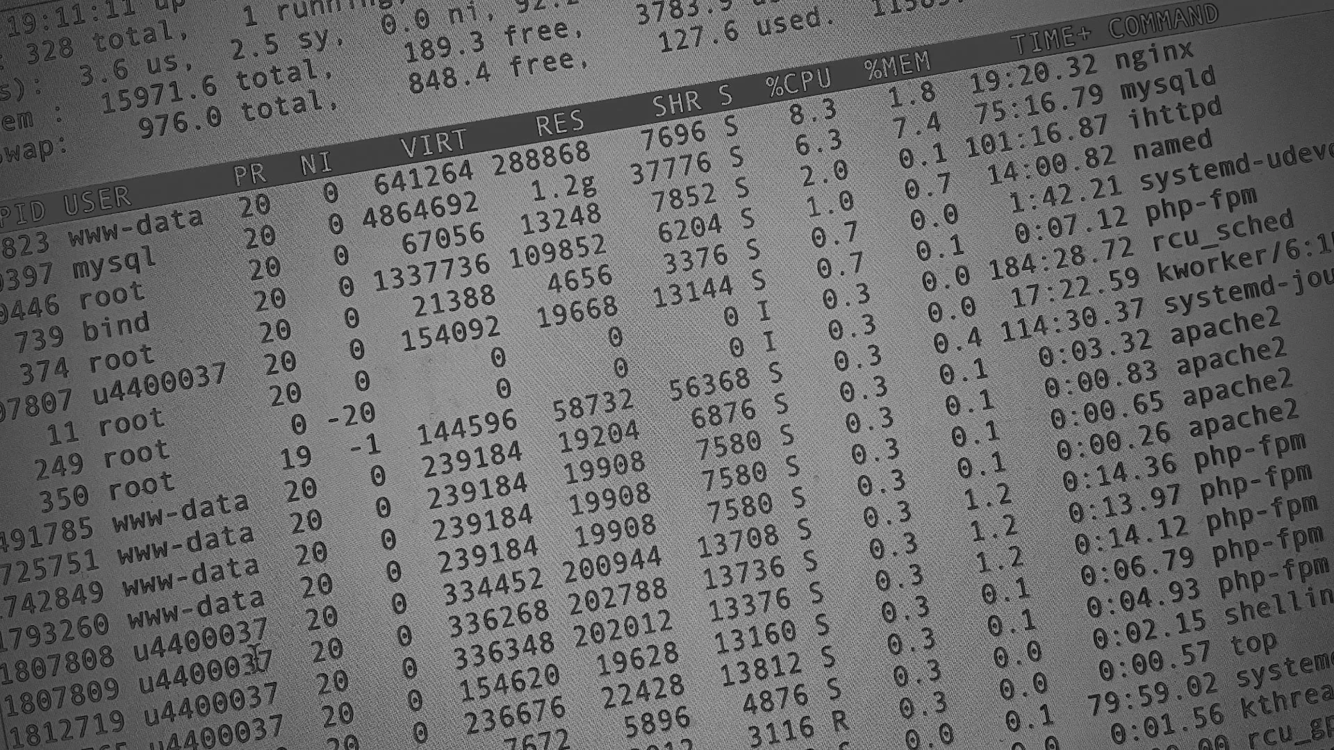 Настройка сервера в Дорогобуже