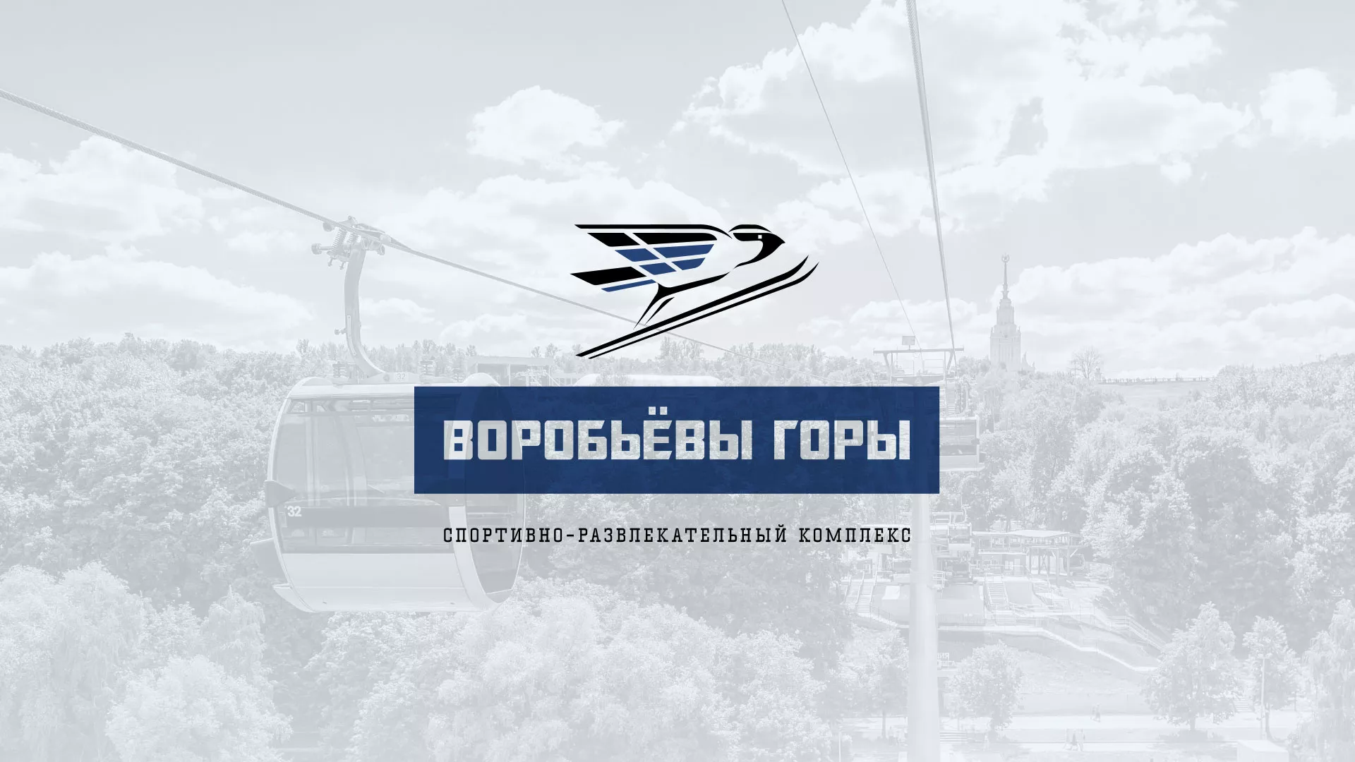 Разработка сайта в Дорогобуже для спортивно-развлекательного комплекса «Воробьёвы горы»