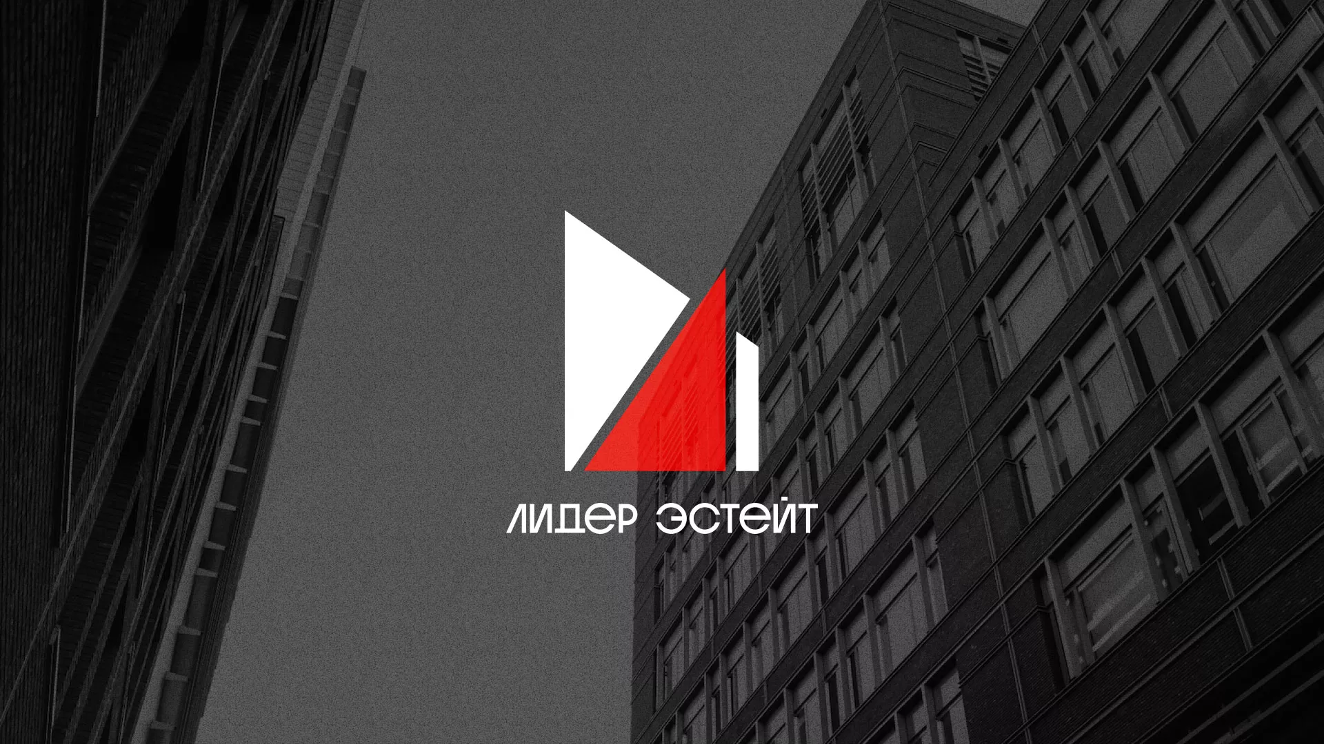 Сделали логотип для агентства недвижимости «Лидер Эстейт» в Дорогобуже